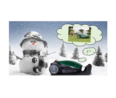 Robomow Winter-Service - Winterschlaf für RC Modelle 